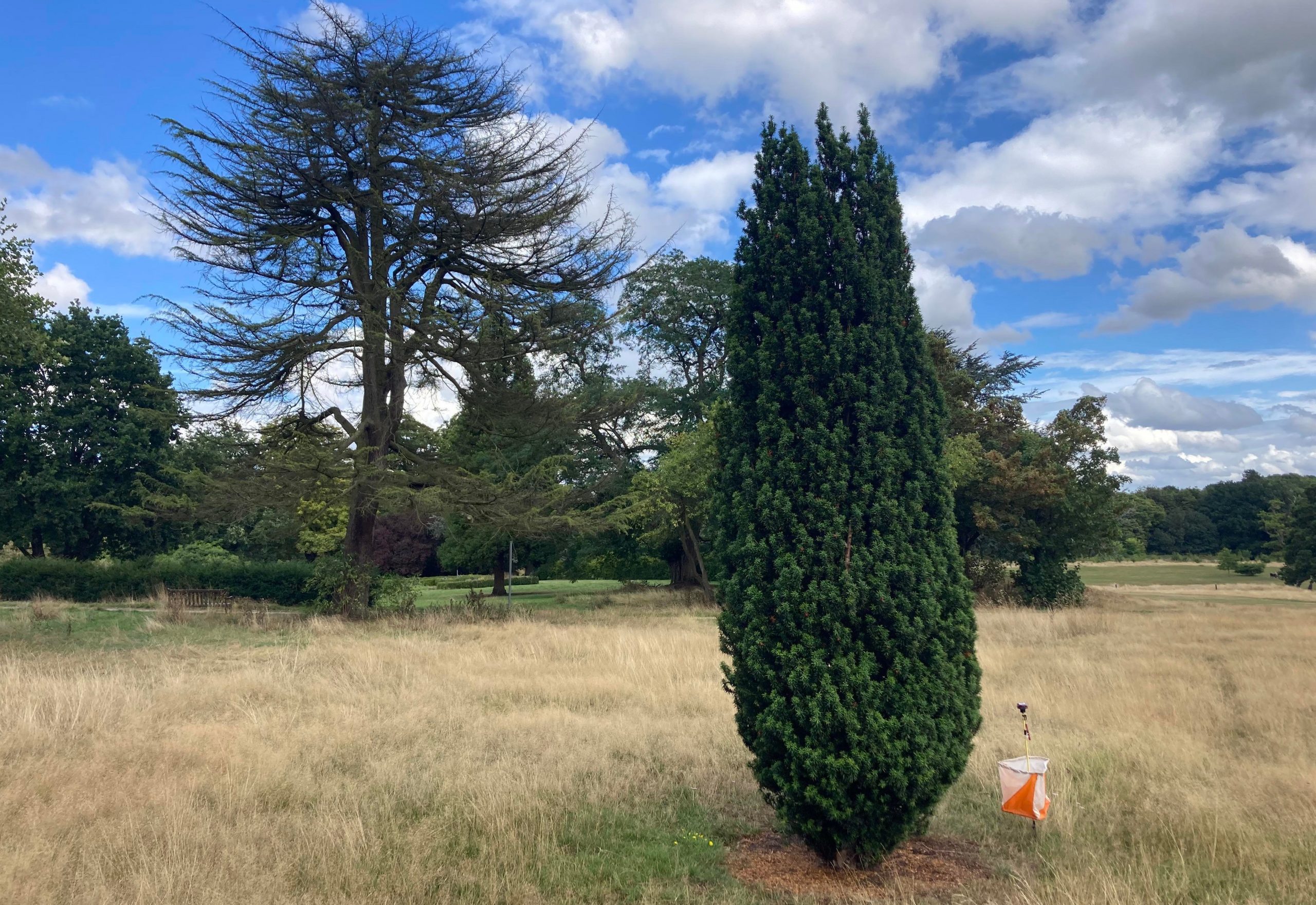 Allestree Park Sunday 13 November 2022 Derwent Valley Orienteers