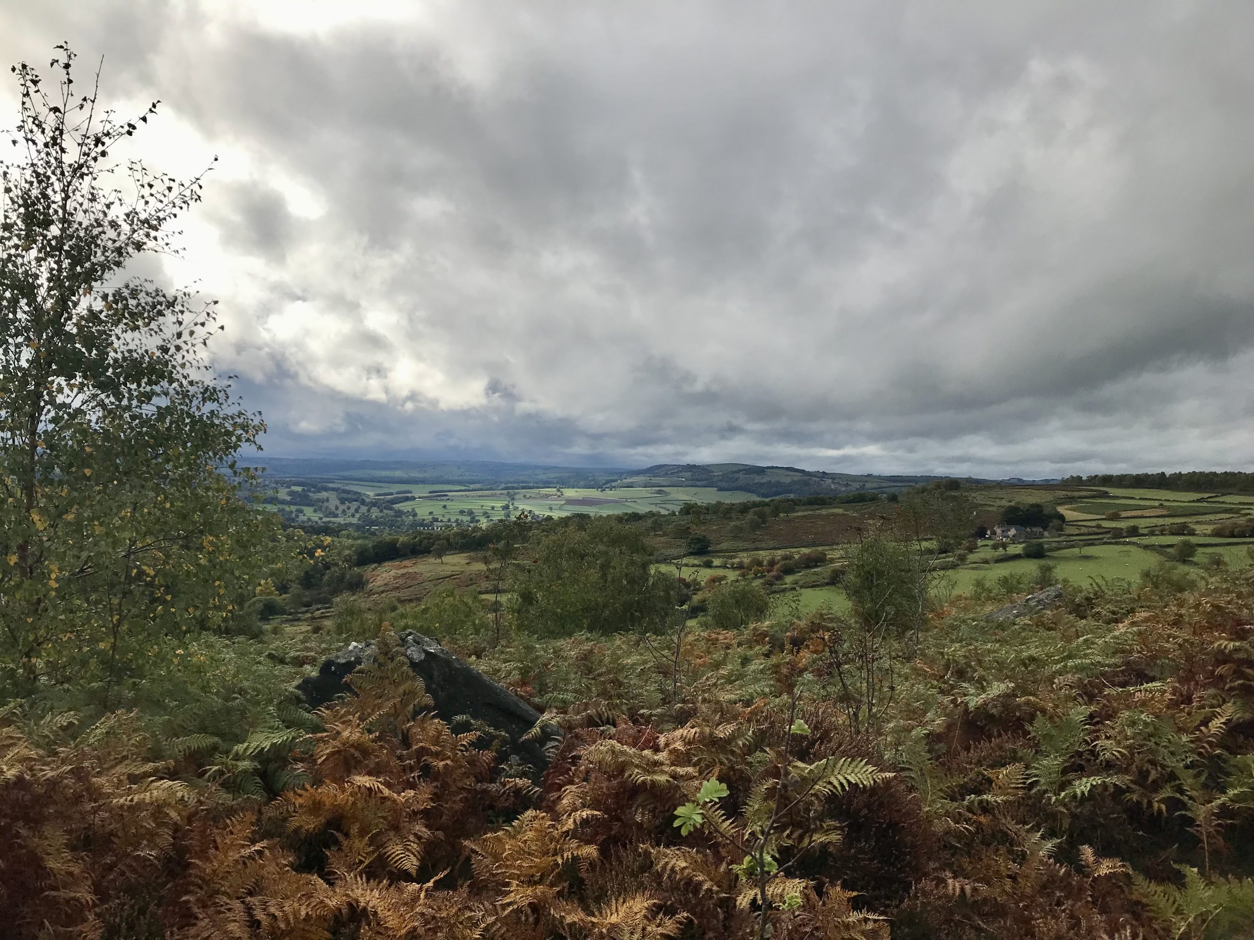 Birchen Edge 25 February 2023 Derwent Valley Orienteers